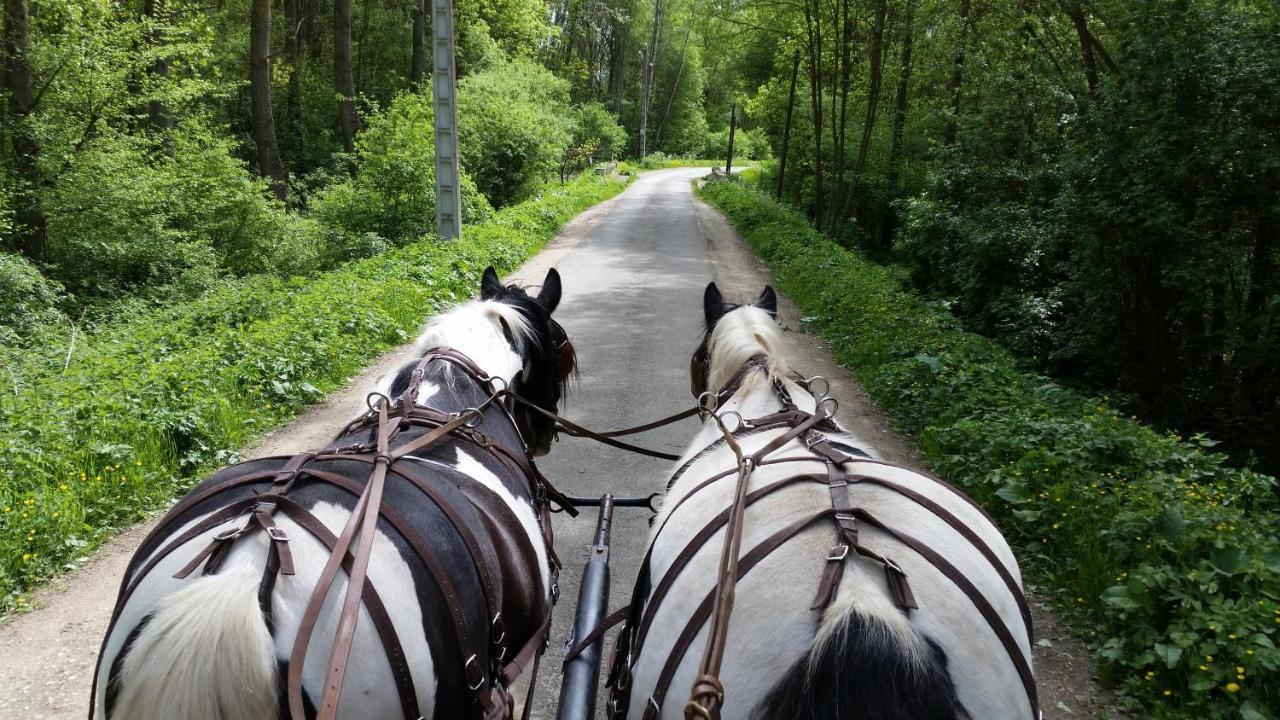 Отель Les Chevaux De L'Hippocampe Mont-Dol Экстерьер фото